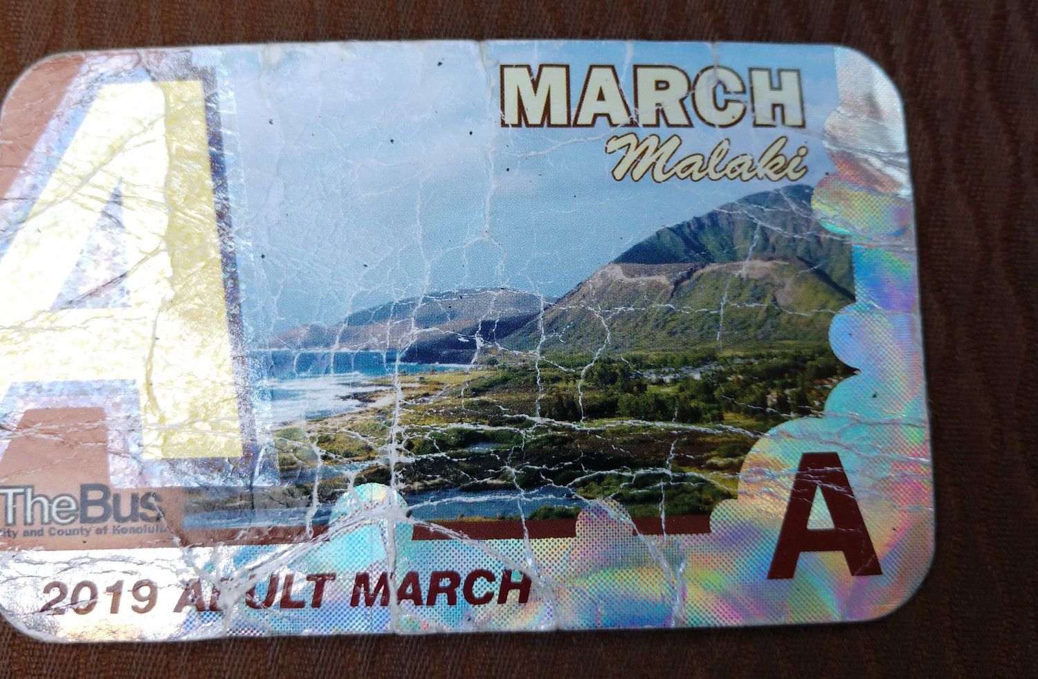 March Adult Bus Please $20