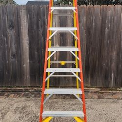 Warner 8' Leansafe Ladder