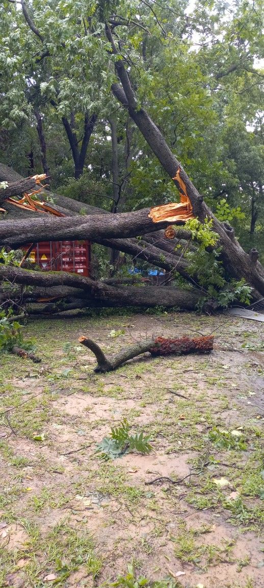 Pecan Wood