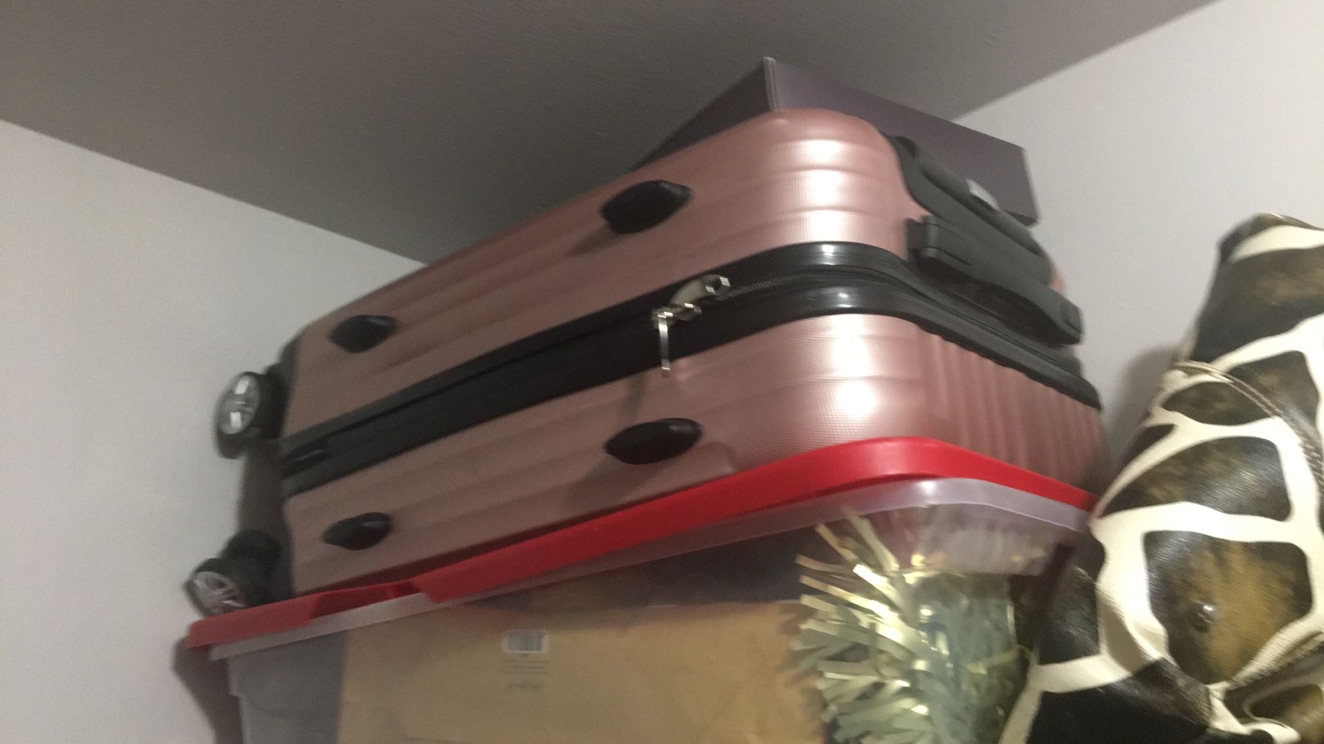 Luggage 