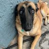 Roxy