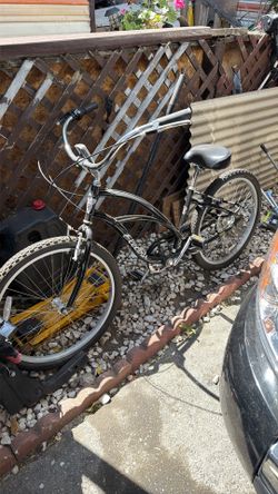 Cruiser