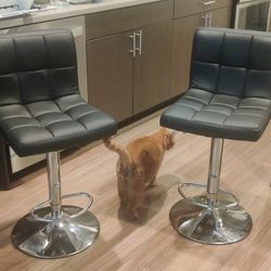 Black Bar Chairs (Detachable Bottom)