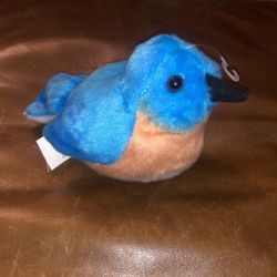 Eastern, bluebird, plush