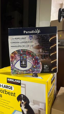 LED Rope Light 