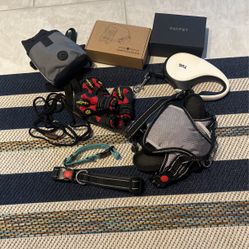 Dog Stuff for Walking & Training 