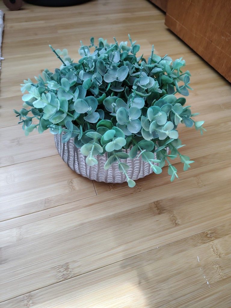 Fake Plant