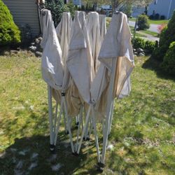 Ez Up 10 X 10 Canopy 