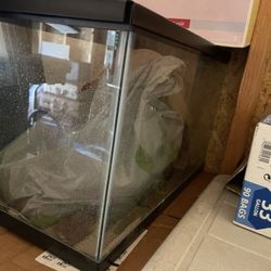 Fish Tanks 