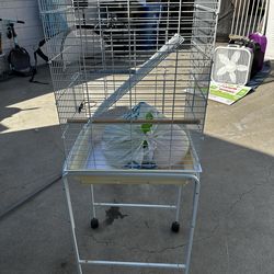 Bird Cage