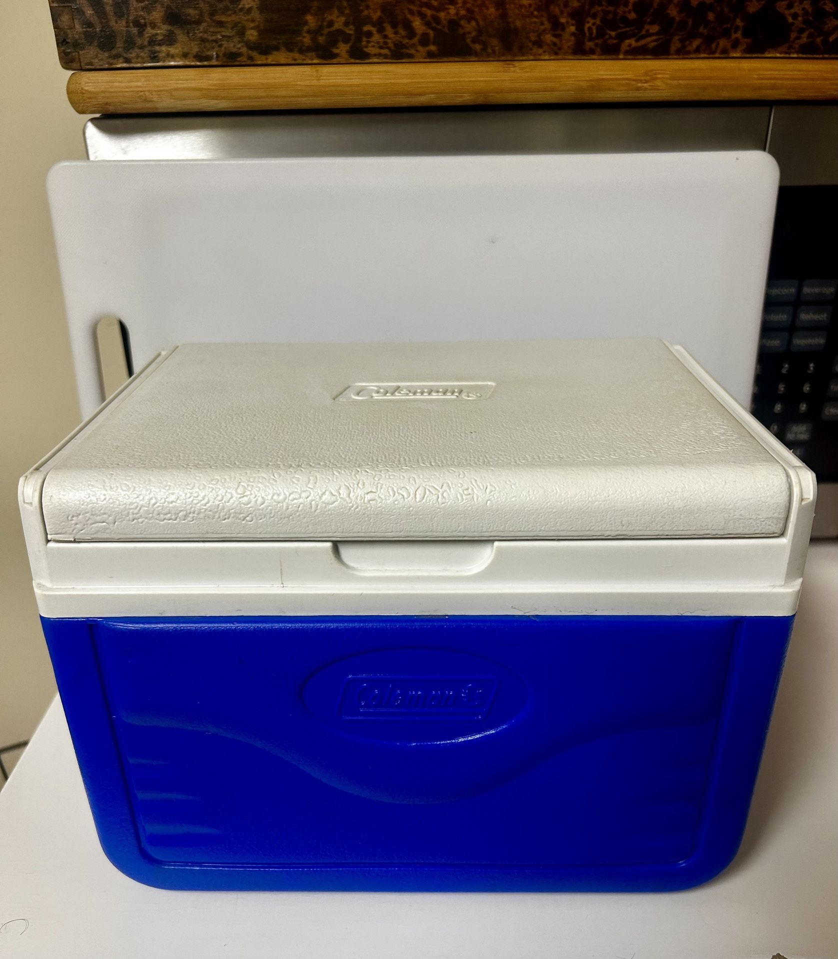 Mini Cooler