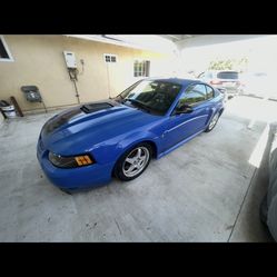 2005 Ford Mustang