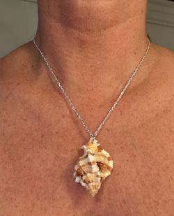 Seashell Necklace