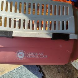 American Kennel Club