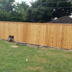 Cedar fences