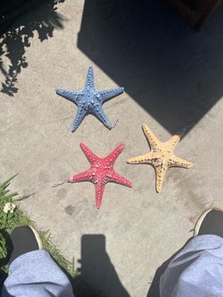 Starfish decor