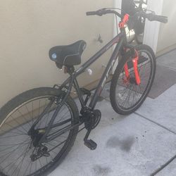 29” Mountain Bike