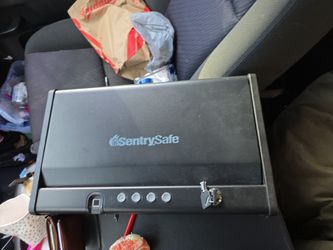 Sentry Safe Gun Safe