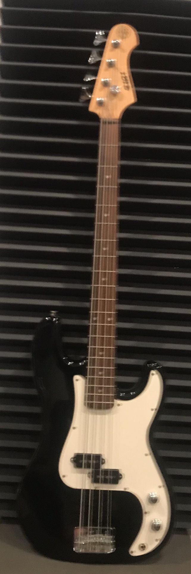 Bass and Amp