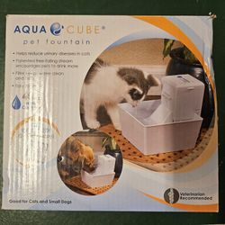 Pet Fountain