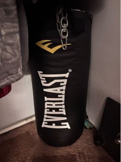 Everlast 70lb punching bag