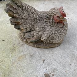 Gallina De Llezo / Hen Needs Clean Up Or Paint