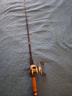 INERTIA FINESSE Pinnacle reel and rod ZEBCO bass fishing