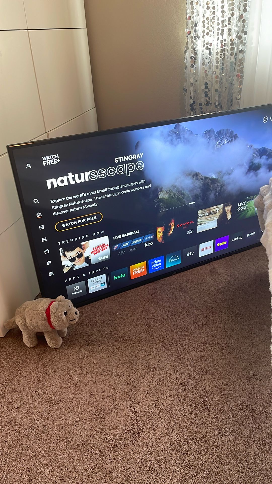 Tv Vizio 55 Inches Works!