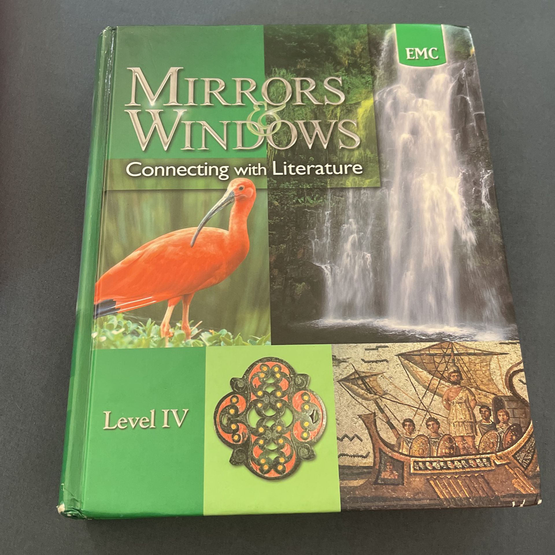 Mirrors & Windows Level IV Literature