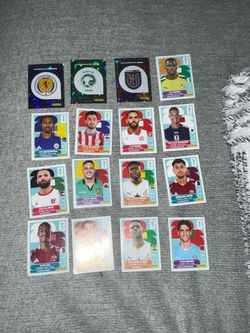 FIFA World Cup Panini Stickers