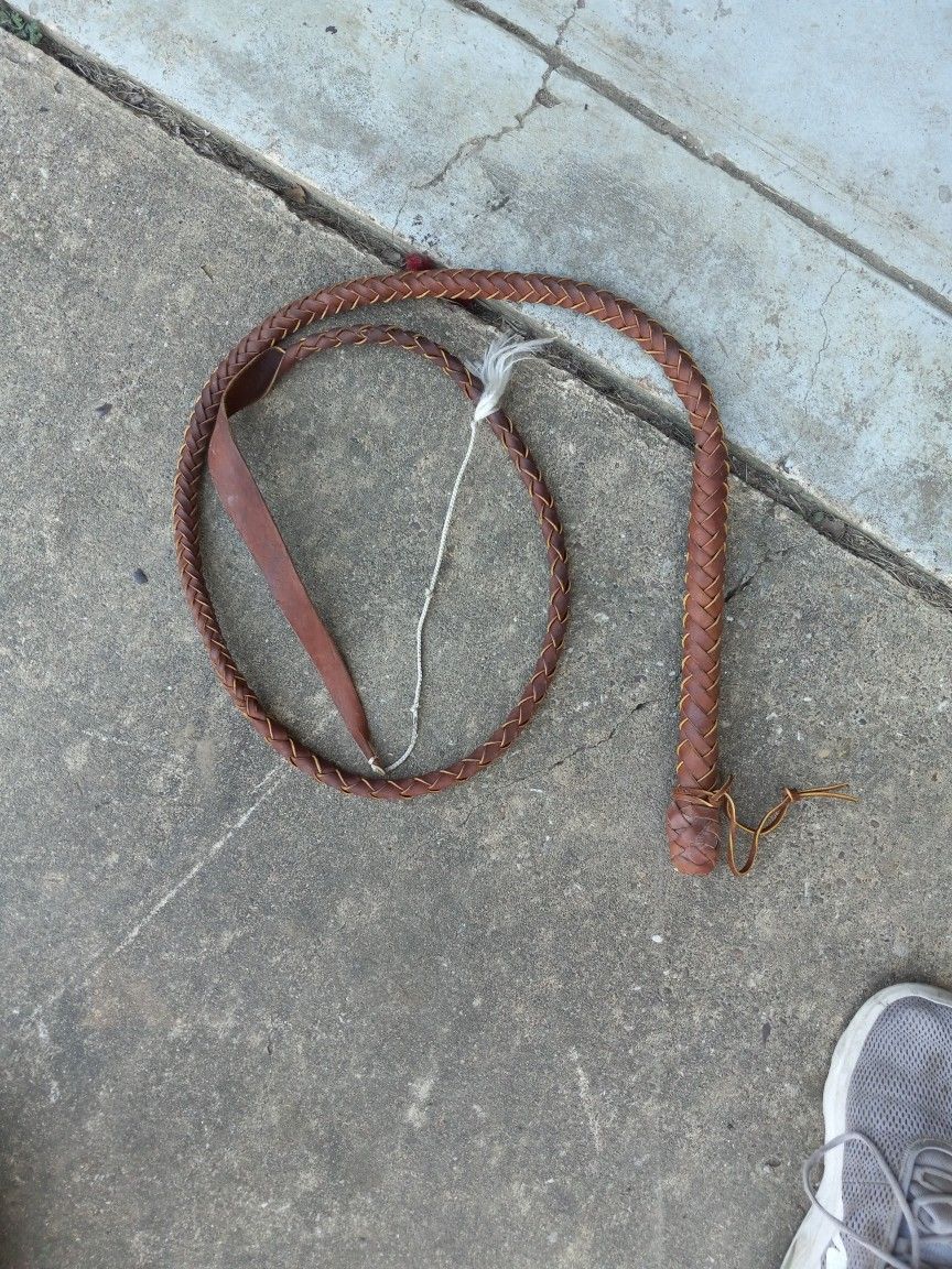 Bullwhip 