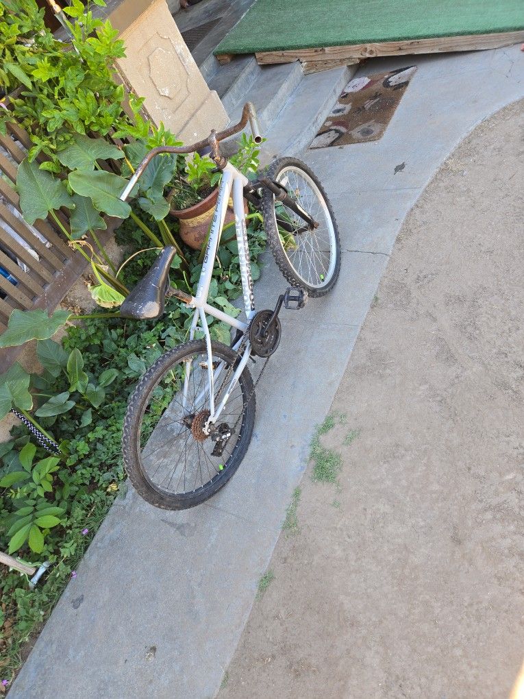 24 Inch Bicycle