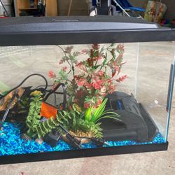 Fish Tank