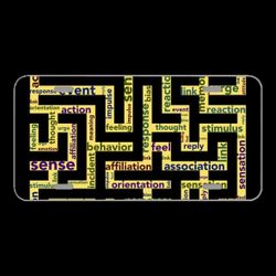 License Plate Novelty Car Front Mindset Stimulus Response Emotion