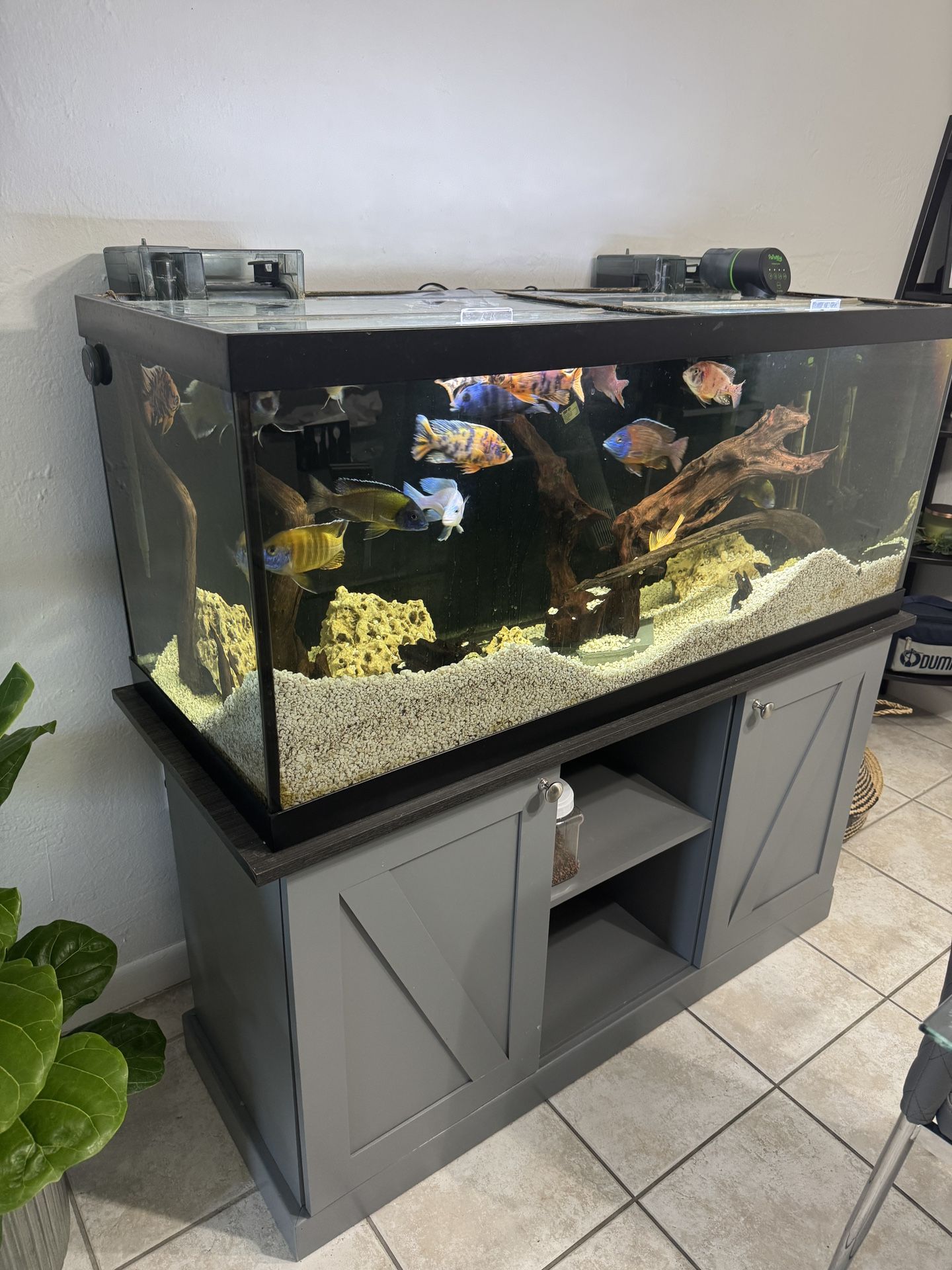 75gal Fish Tank Aquarium With Stand. Perfect Condition.