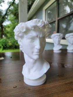David Bust Planter for Flowers