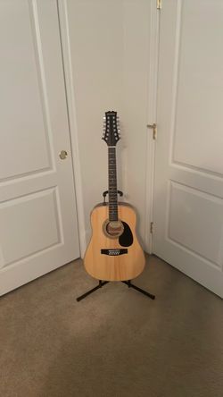 12 string acoustic electric