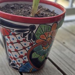 Plant Pot (includes A Wood Base)