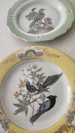 Beautiful Dishes