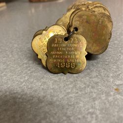 Several 1973 Marion County Vaccination Dog Tags