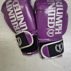 Boxing Glove Medium Size