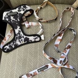 “Frenchie” Duo Reversible Harness, Comfort Leash, Collar, And Water Dispenser  