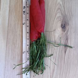 Costume Accessory - Cloth Carrots