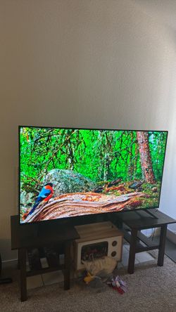 60 in tv