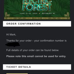 Electric Forest