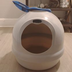Box For Cats