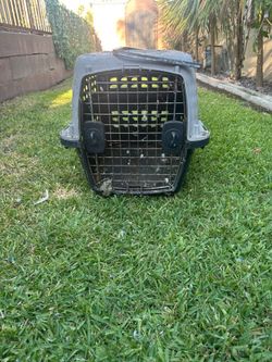 Dog cage.