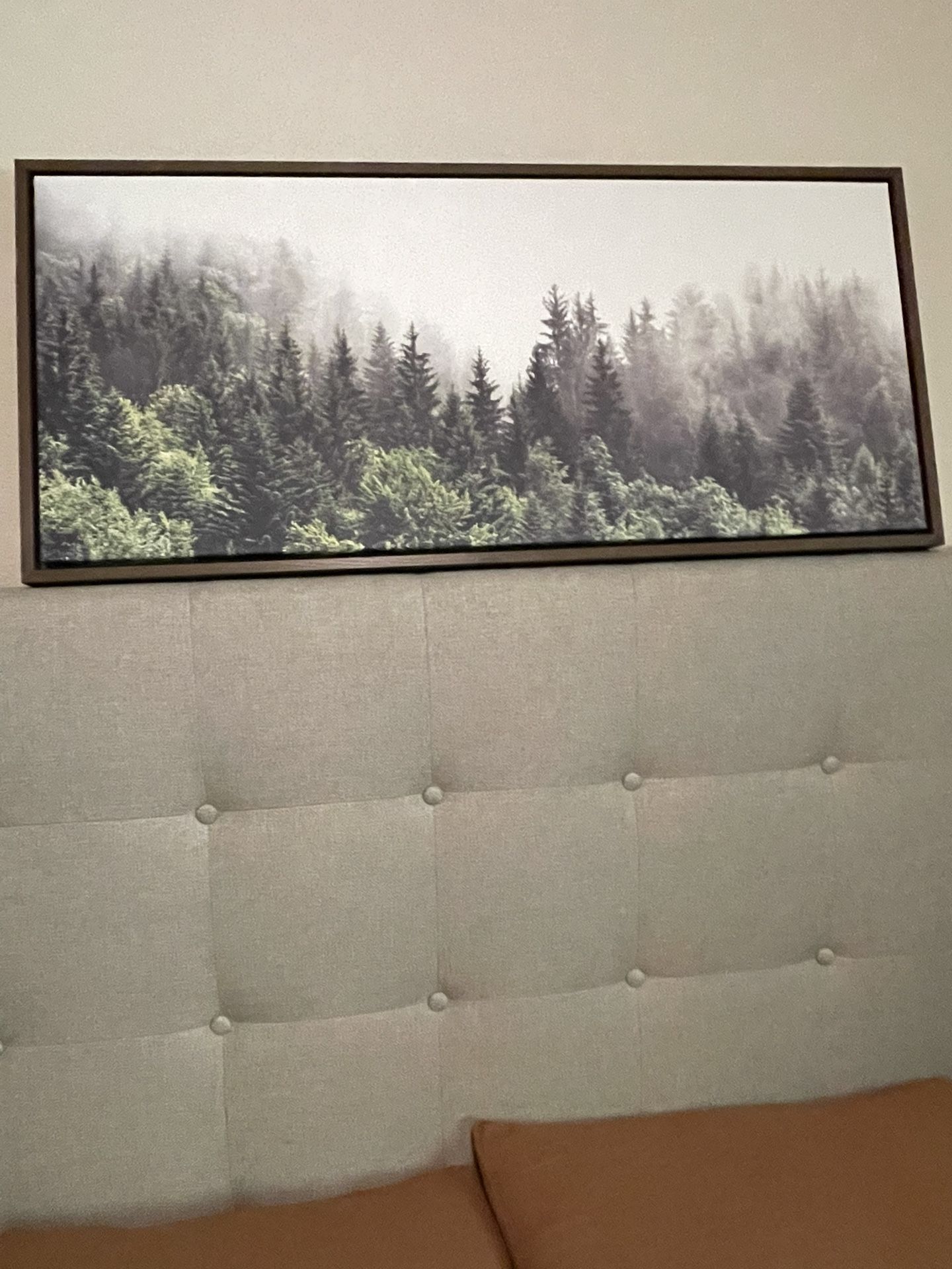 Forest Wall Art