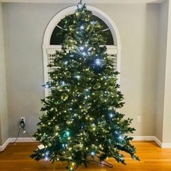 9' Frontgate Pre-lit Frasier Fir Christmas Tree 🎄