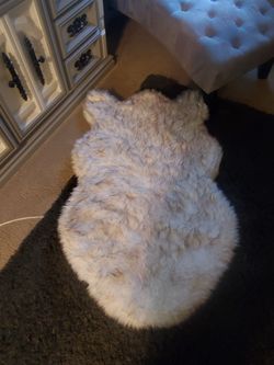 Brand new LARGR pup rug dog bed. Its memory foam, fur cover that is removable and washable, its very nice, and so soft and comfy!